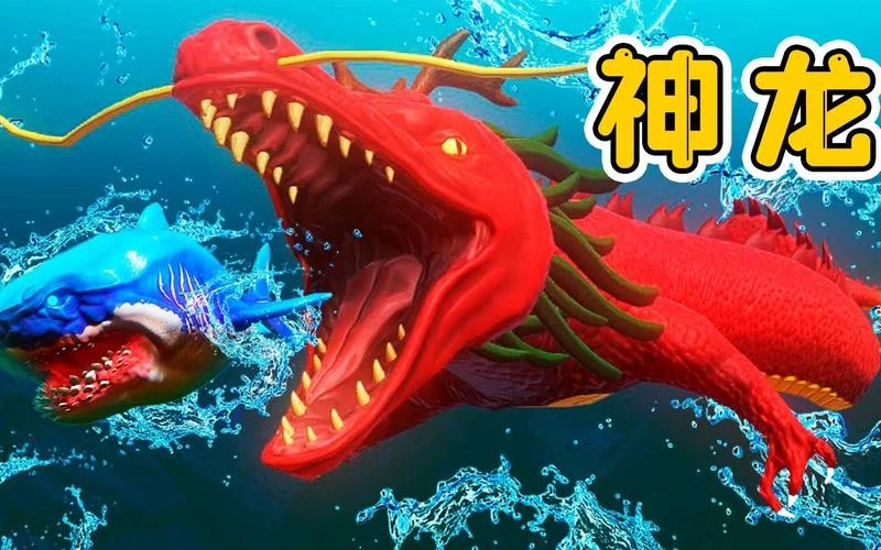 打开神龙考研-开启神龙考研之路