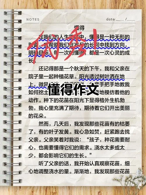 我懂得了一个道理作文400字_1