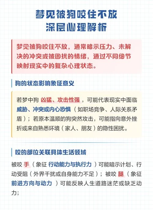 被狗咬梦见_1