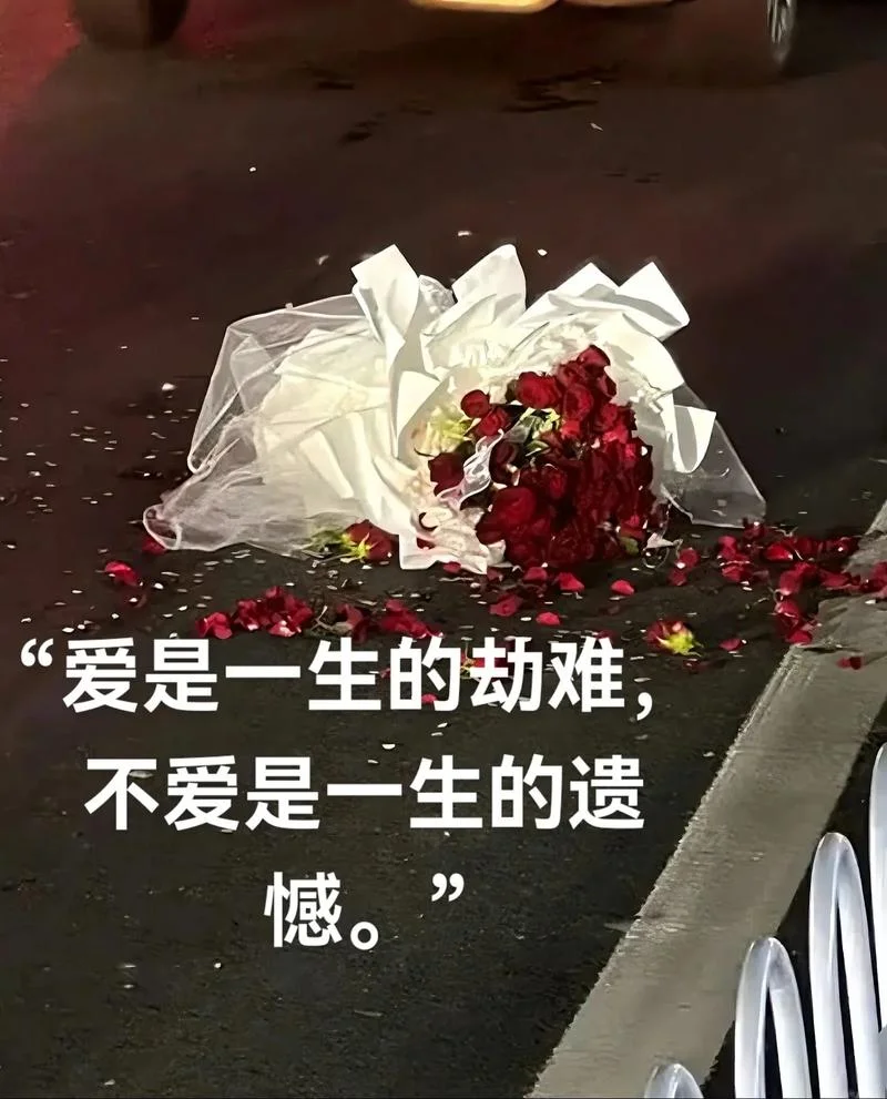 爱到无路可退文案_1