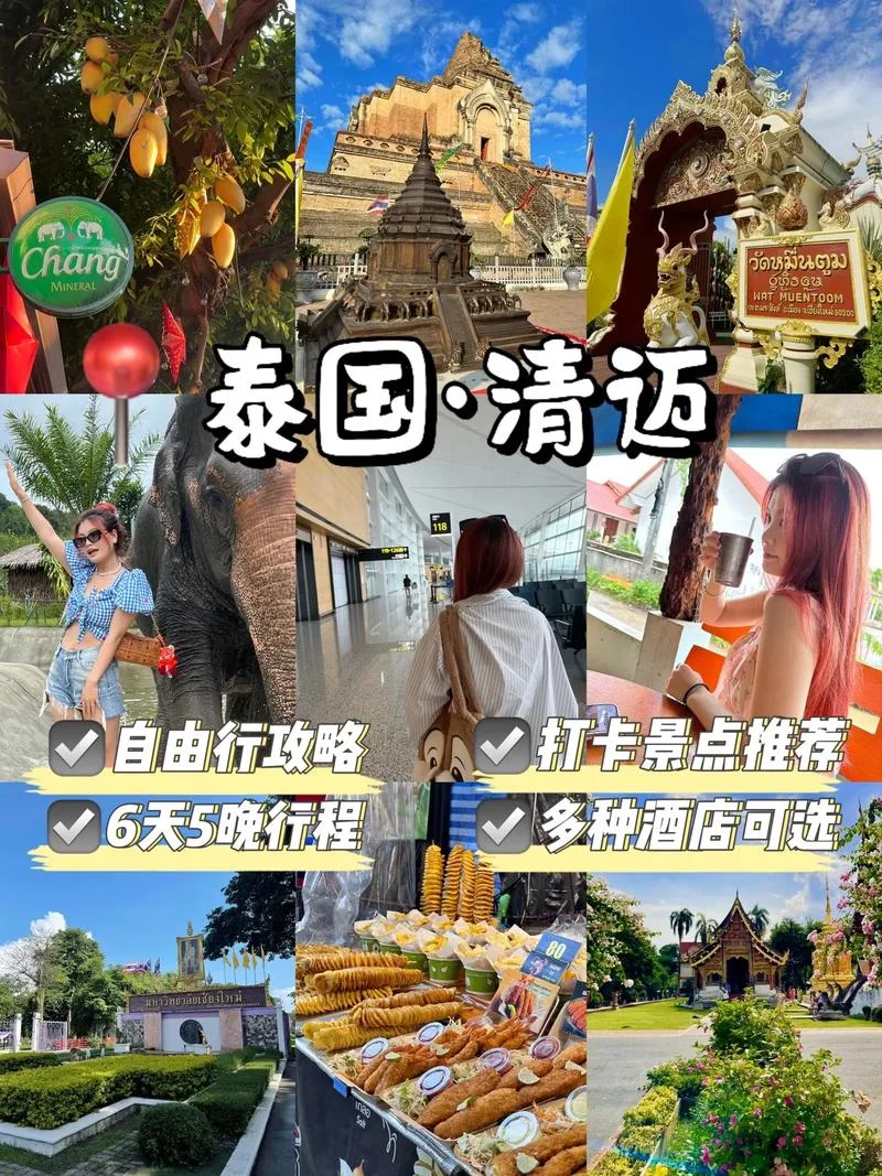 泰国旅游感悟_1