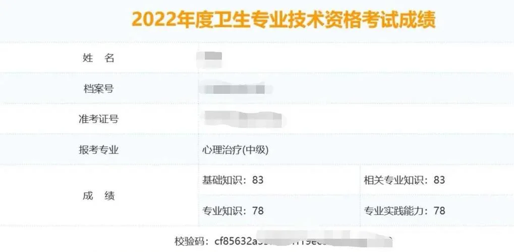 新疆卫生考试成绩查询网_1
