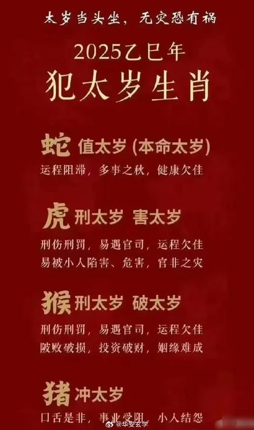 2019年猪几月份犯太岁_1
