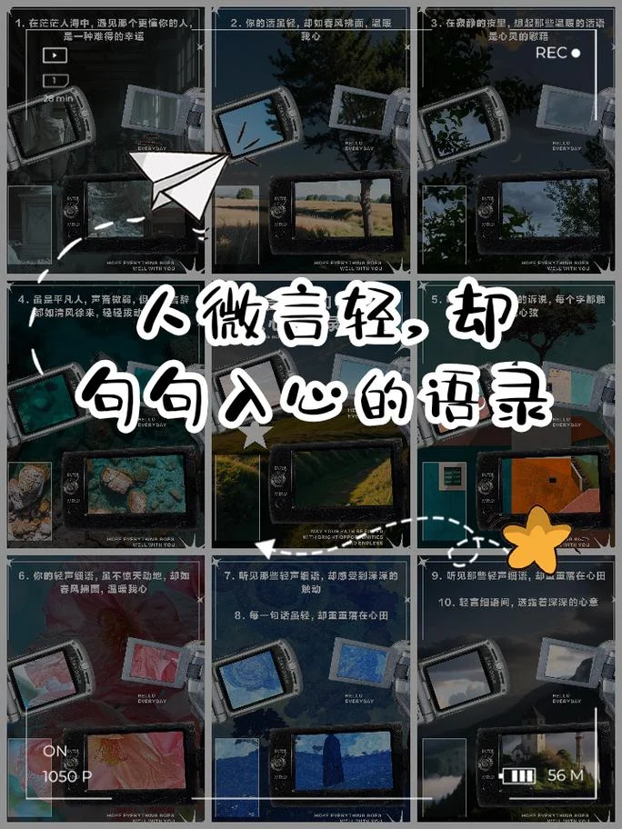 人微言轻的下一句_1