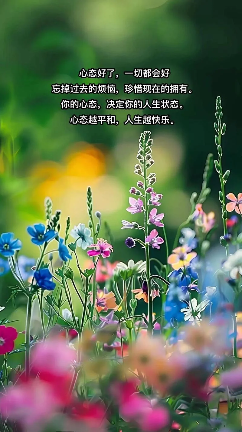 人生心态感悟_1
