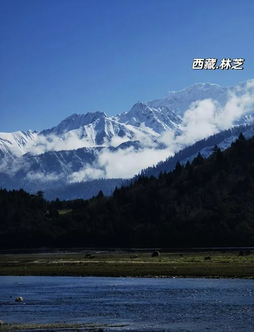 林芝旅游攻略冬季_1