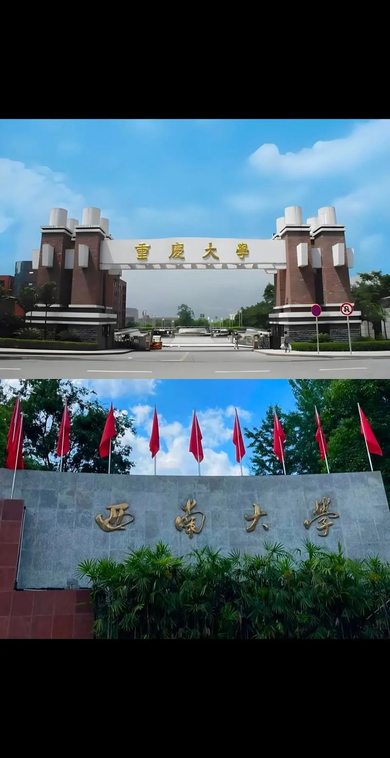 西南大学重修没有成绩_1