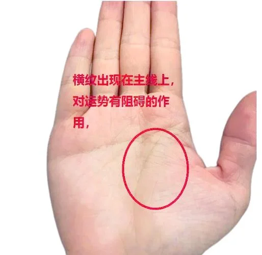 学业线手相怎么看_2