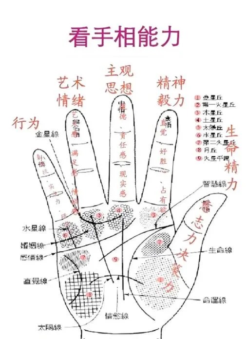 手相面相真的准吗_1