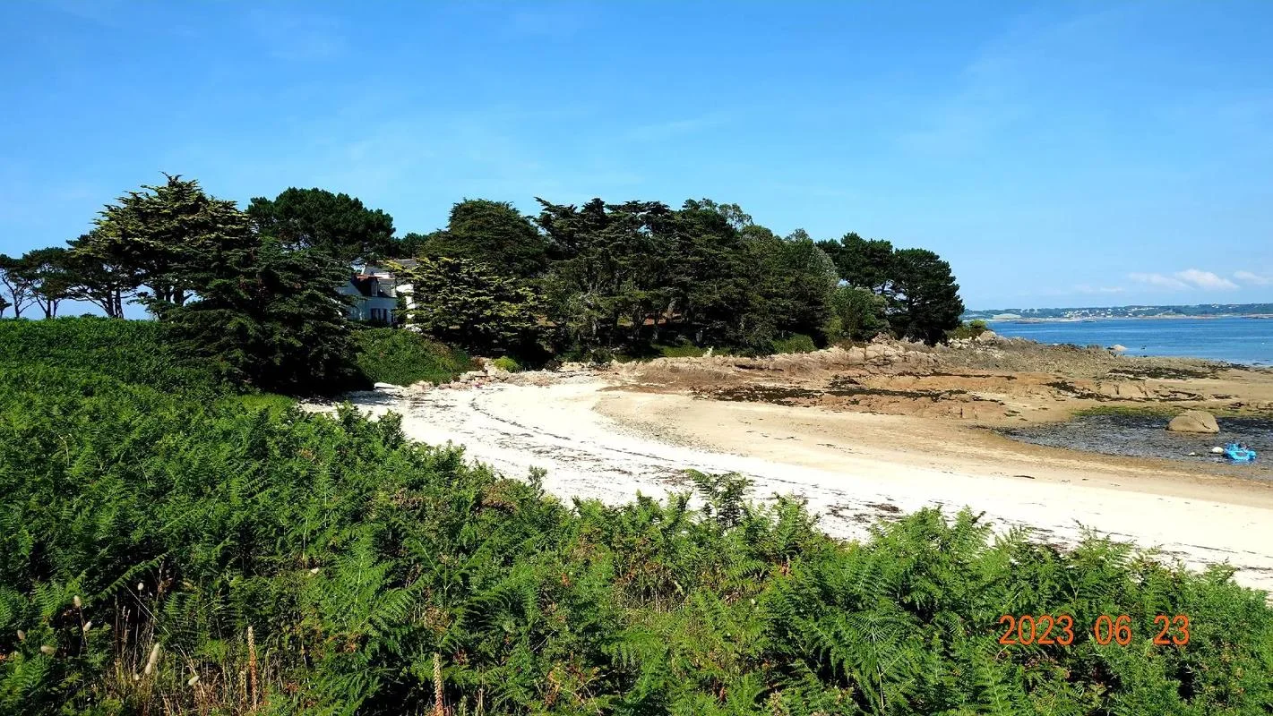 梦见被海水淹没_1