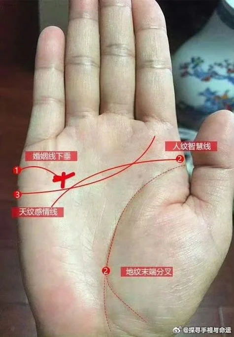 出轨男人的手相_2