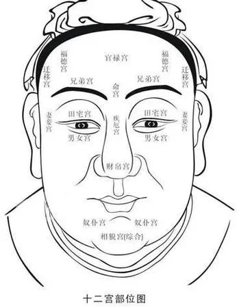 麻衣神相是谁写的_1