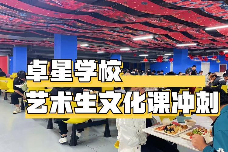 器乐艺考文化课哪家好_1