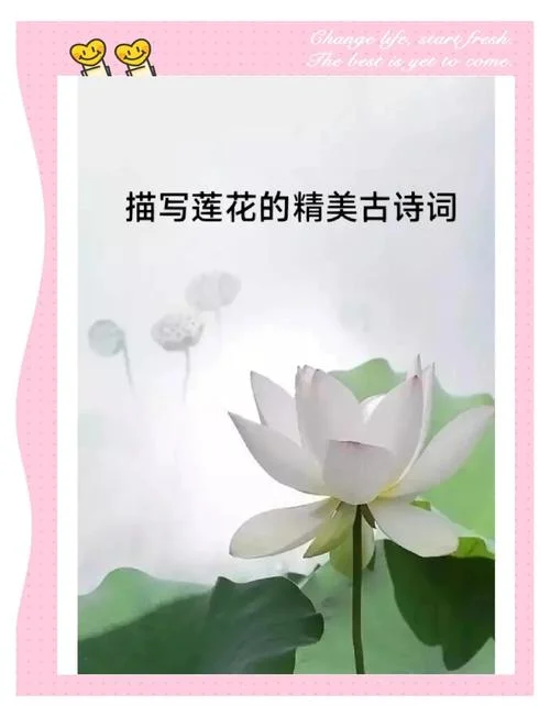 描写莲花的诗句出处_1