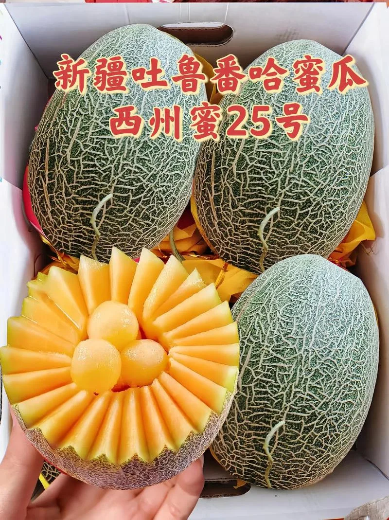 哈密瓜几月好吃_1