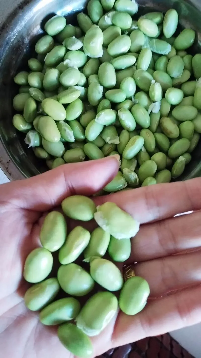 猫豆米作者简介_1