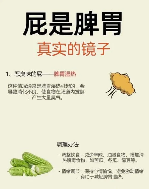 放屁医学术语叫什么-医学称排气或矢气