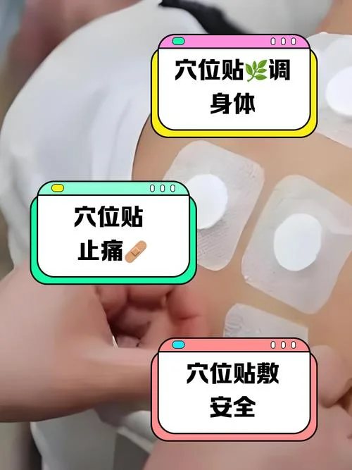 什么是三伏帖穴位贴_2