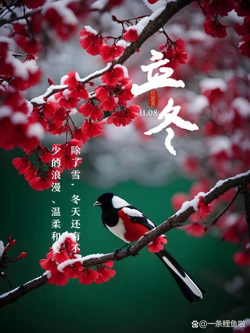 今日立冬祝福图片_1