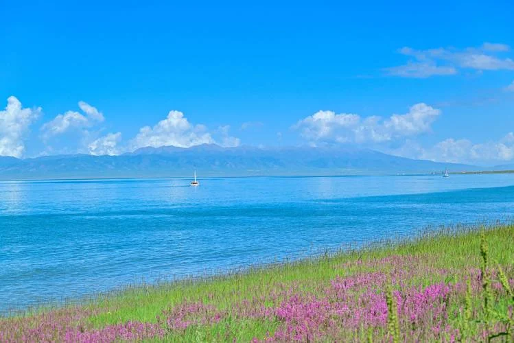 青海湖景点推荐一日_1