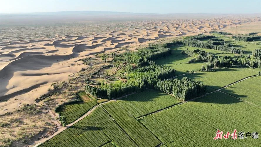 新疆绿洲农业条件_1