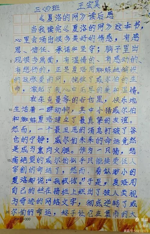 夏洛的网好感悟_1