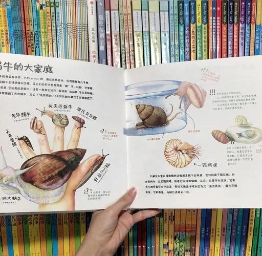 蜗牛冒险的道理_1