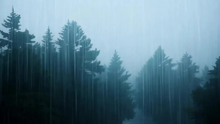 梦见好大的雨-暴雨倾盆之梦