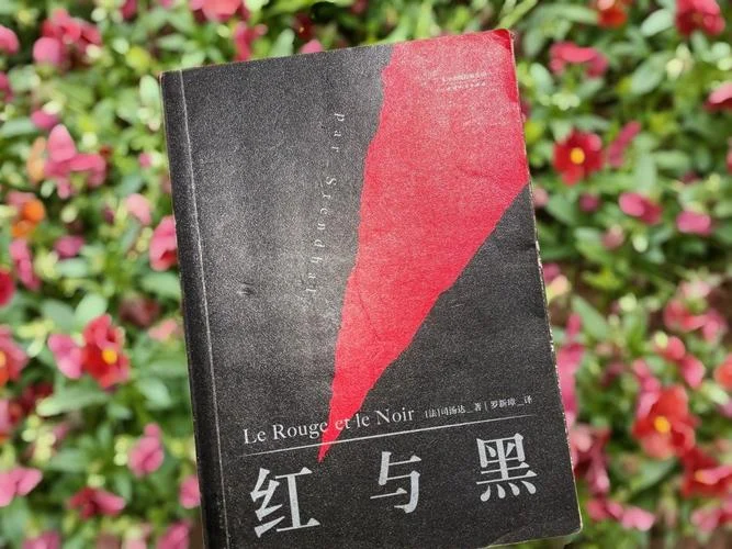 红与黑的作者是谁啊_2