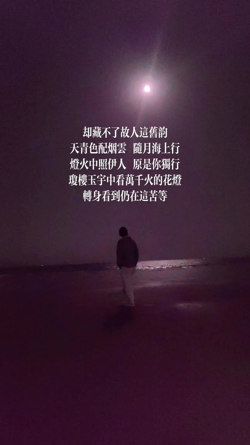 孤身一人下一句_2