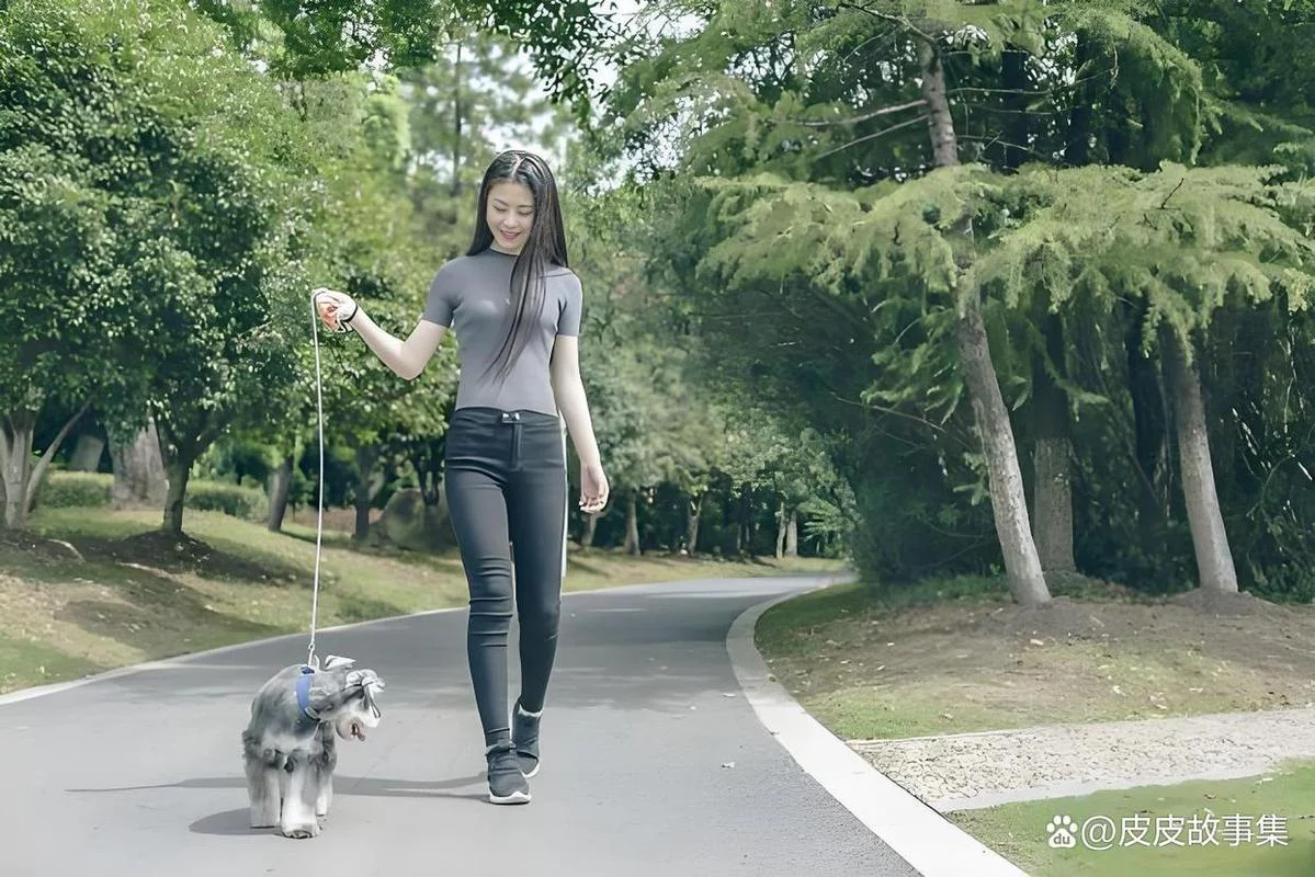 女人梦到狗跟着自己_2