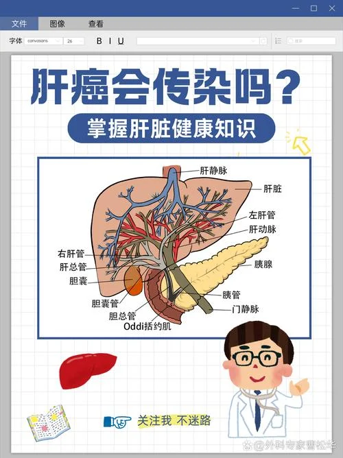 肝癌多发是什么意思_2