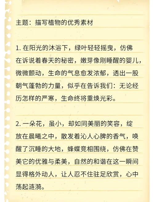 种植植物的哲学感悟_1