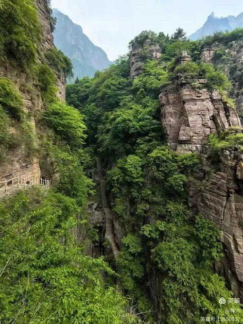 重庆南坪附近的景点_1