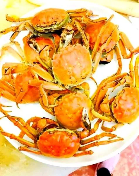 梦见大螃蟹爬上身-梦见大蟹爬上身