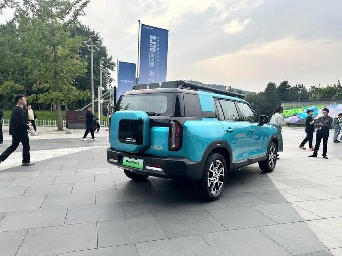 精英青年应该买什么车-精英青年购车建议