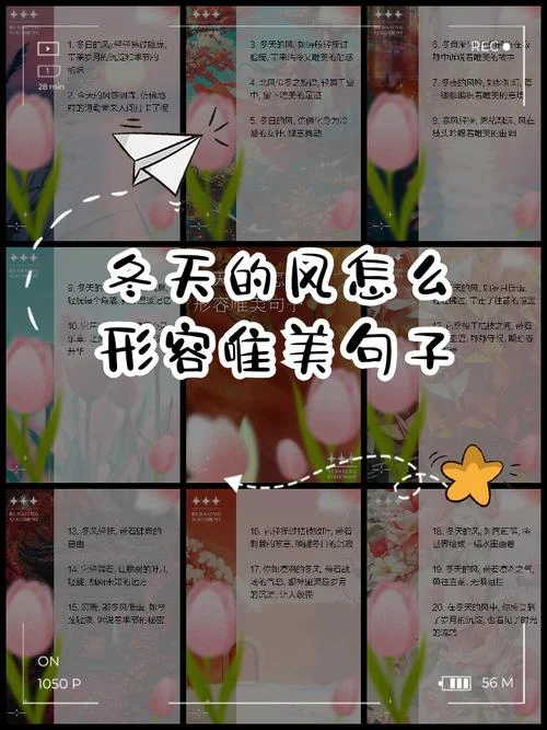 冬天吹海风的搞笑说说_1