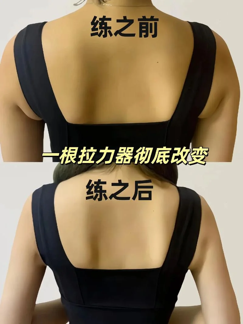 什么是拉力_1