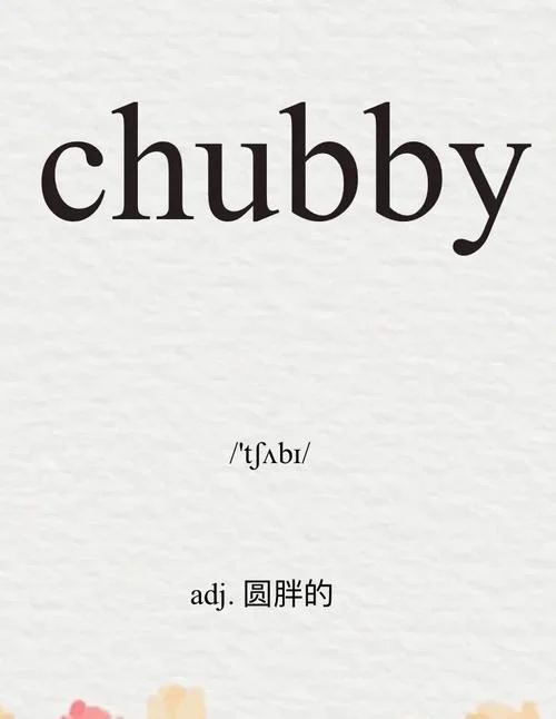 胖的英文单词叫什么_1