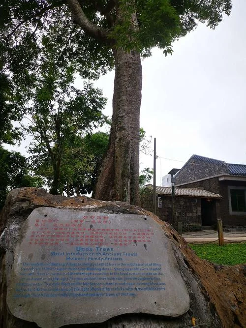 杨林尾历史_1
