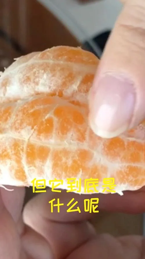 橘子上的白丝叫什么_1