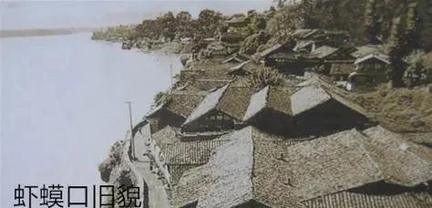 虾蟆的历史_1