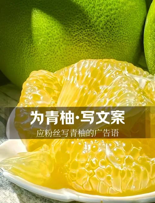 柚子是谁写的_1