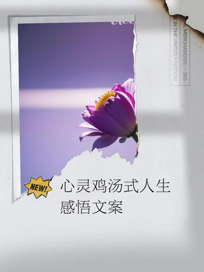心灵鸡汤故事与感悟短_1