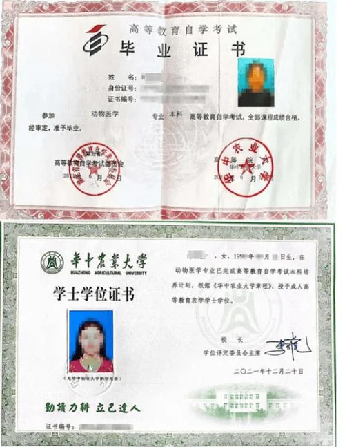 报考自考本科文凭_2