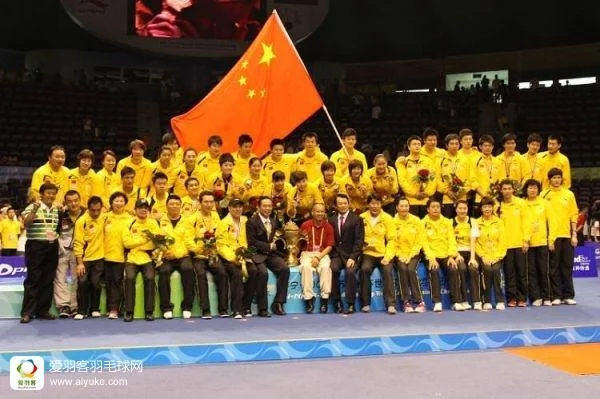 2013苏迪曼杯分组成绩_2