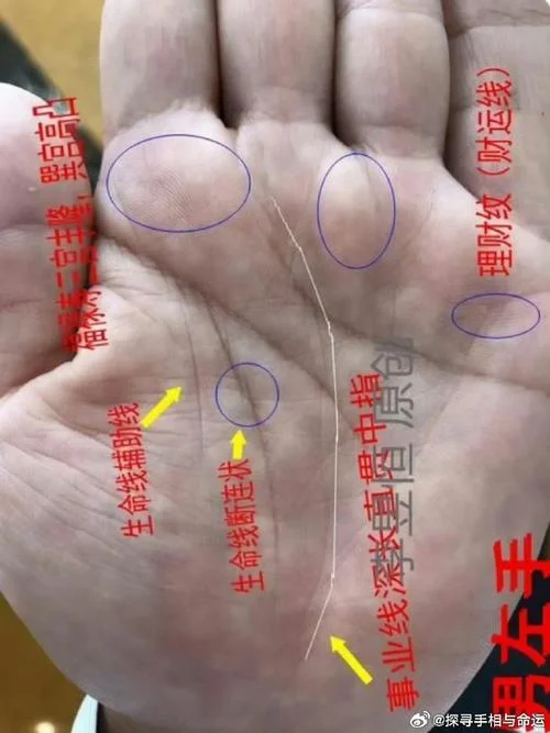 手掌心聚水的手相-掌心聚水手相