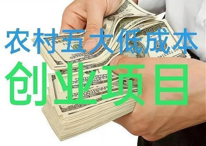 什么项目创业好_2