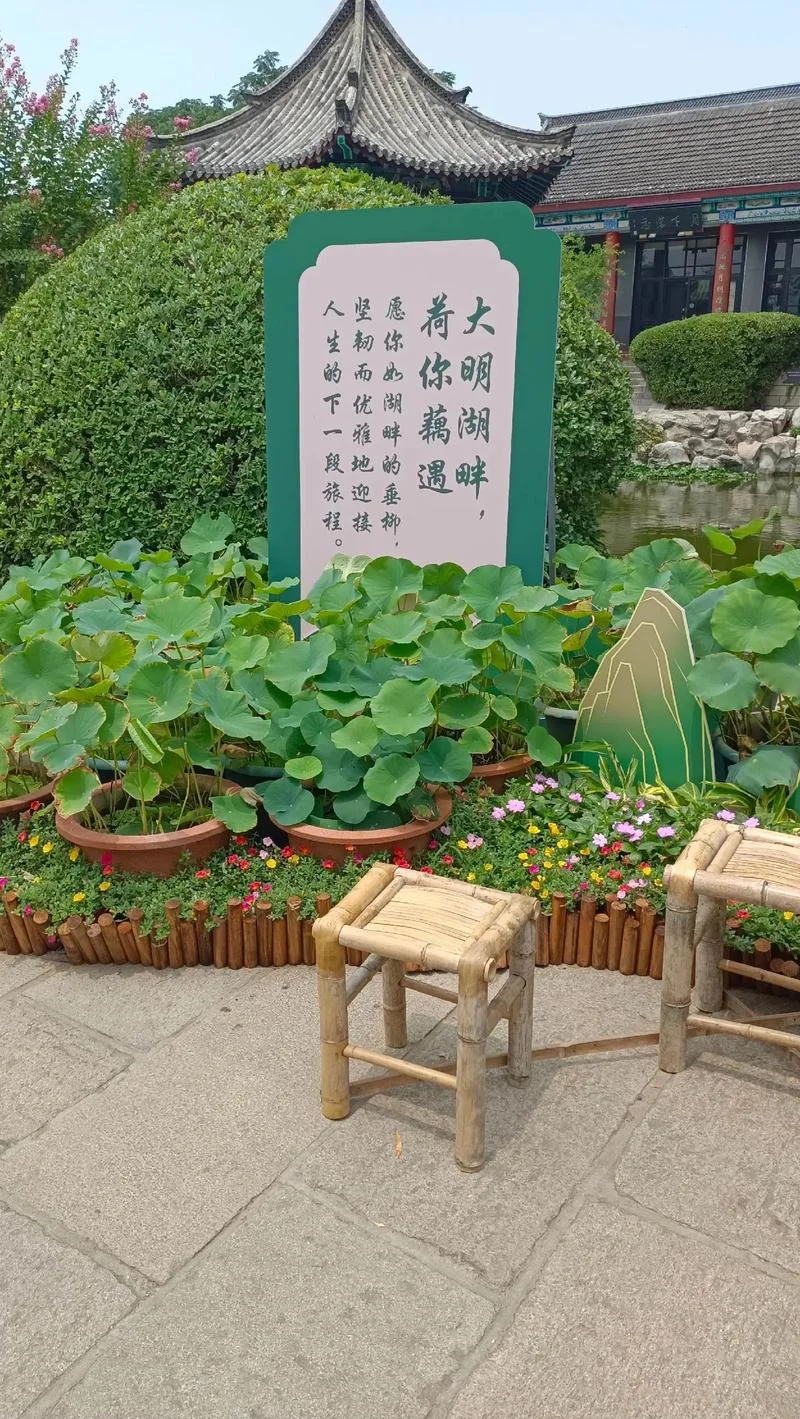 四面荷花三面柳下一句是什么_1