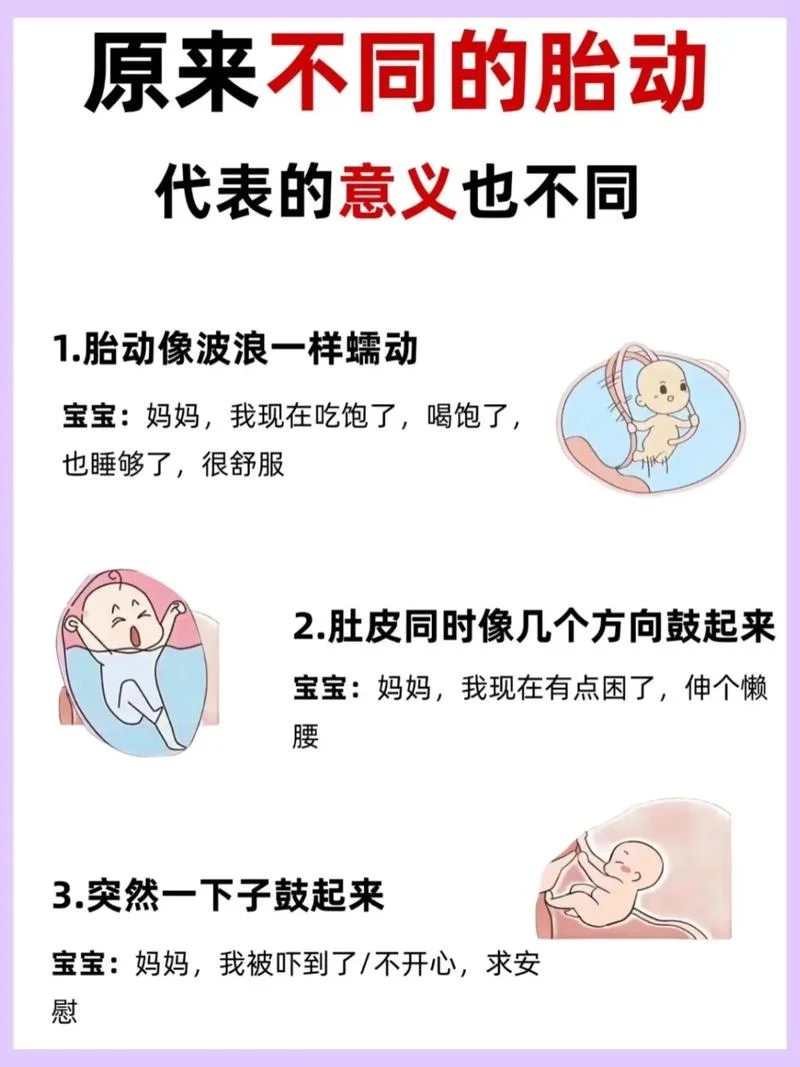 什么是胎动和胎位_1